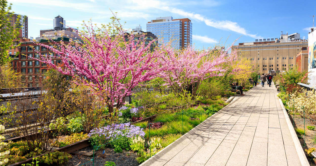 High Line: o parque suspenso de Nova York